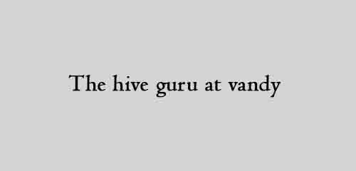 The hive guru at vandy